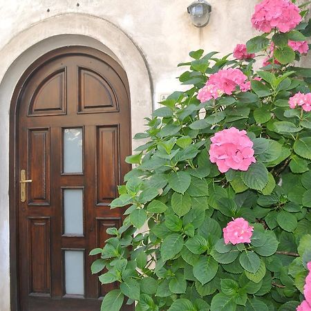 B&B Casa Antonia Trentinara Dış mekan fotoğraf