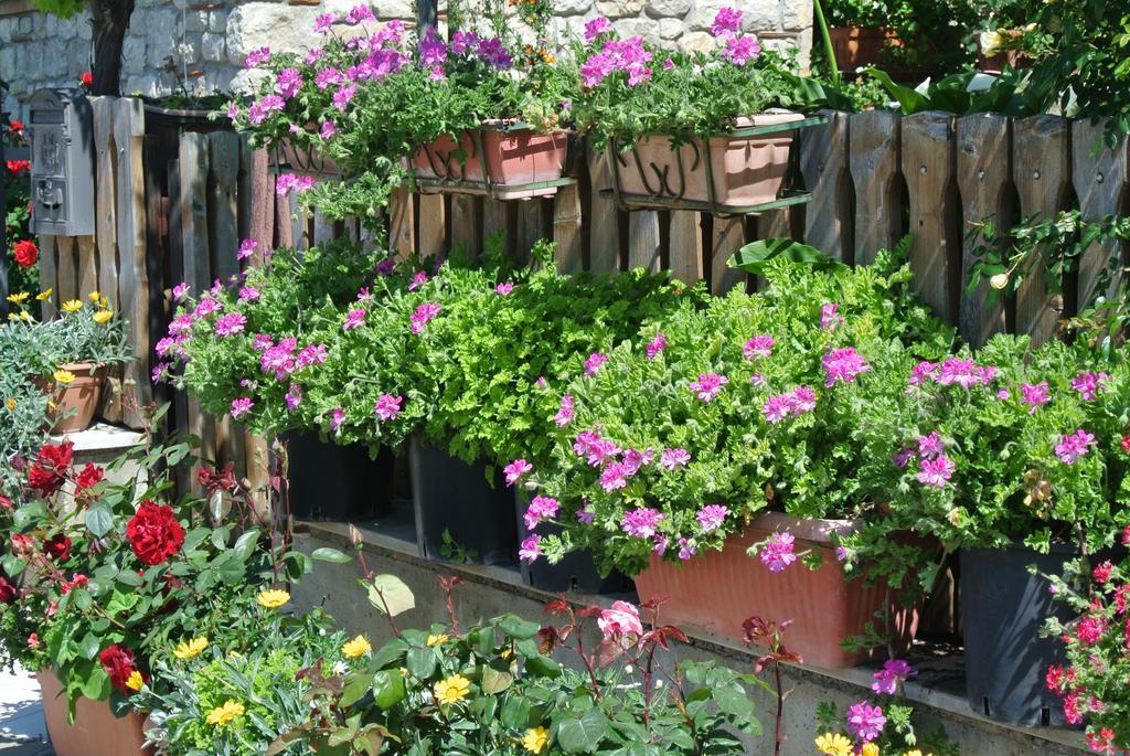 B&B Casa Antonia Trentinara Dış mekan fotoğraf