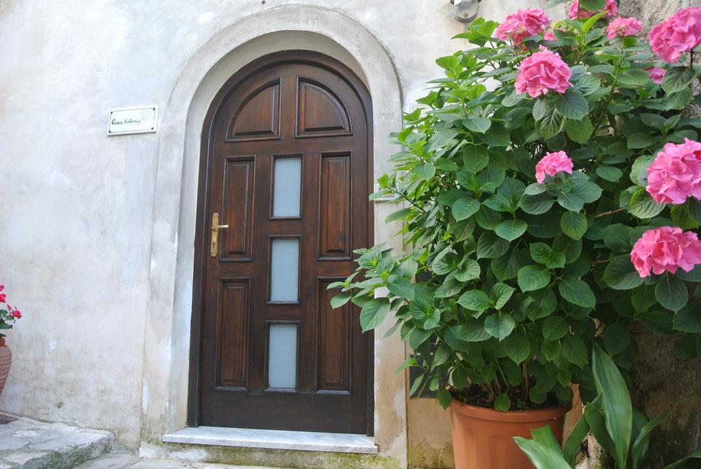 B&B Casa Antonia Trentinara Dış mekan fotoğraf