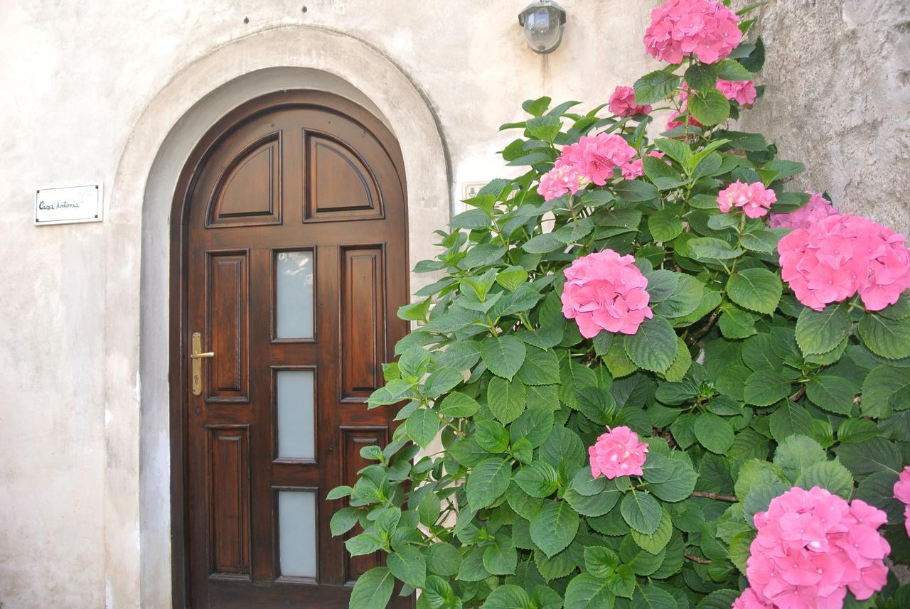 B&B Casa Antonia Trentinara Dış mekan fotoğraf